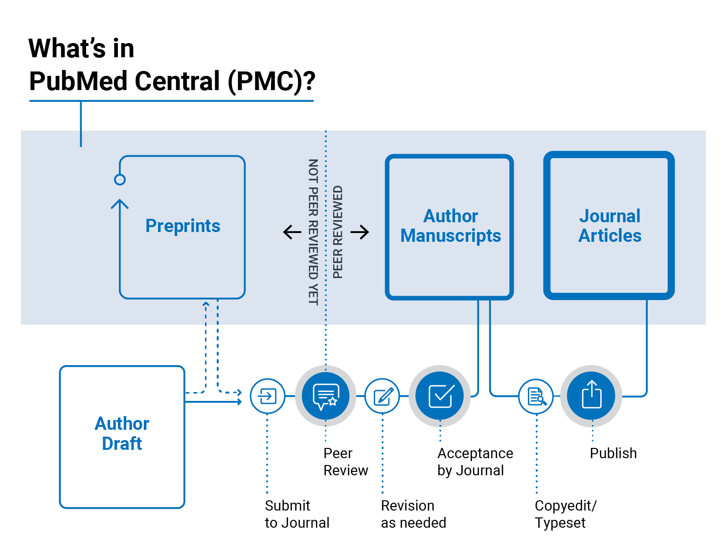 Graphic showing information about the types of records available in PMC which include preprints, author manuscripts and journal articles and the differences between them, especially highlighting that preprints are not yet peer-reviewed, while author manuscripts and journal articles have been peer reviewed.